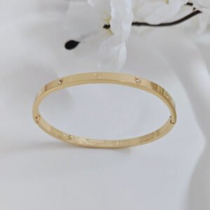 minimal screw crystal kada bangle